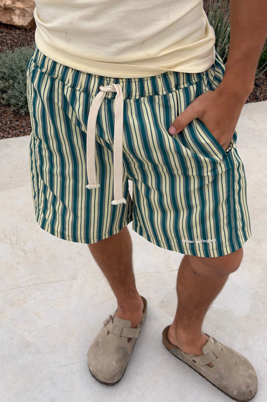 Kiwi Swimshorts