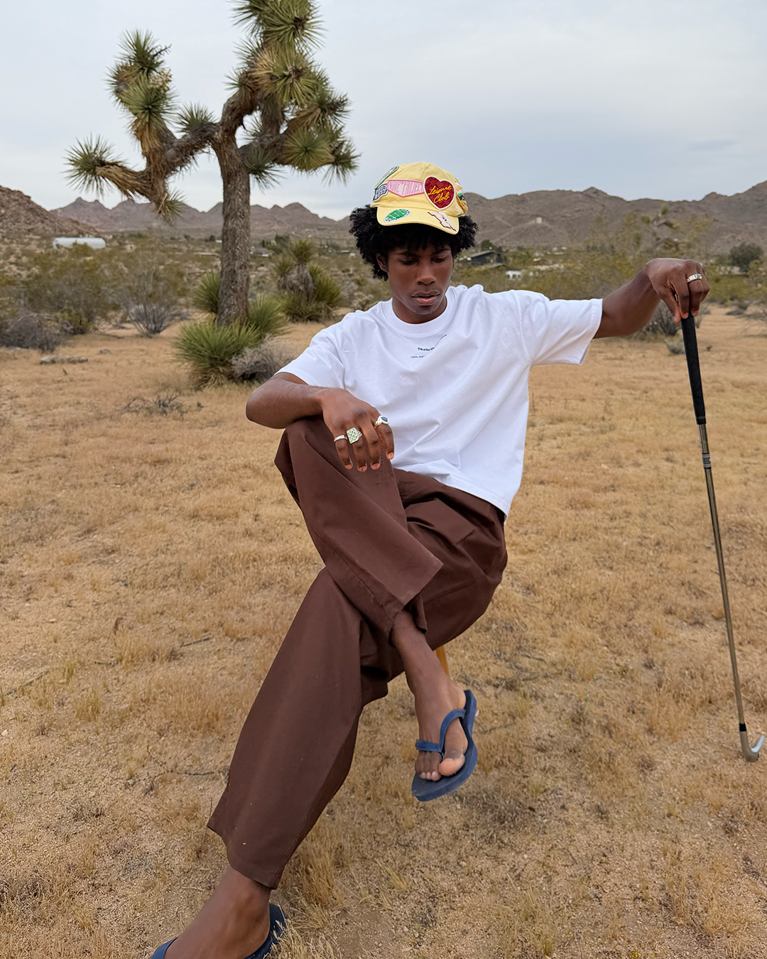 Pleated Chino Pants Brown