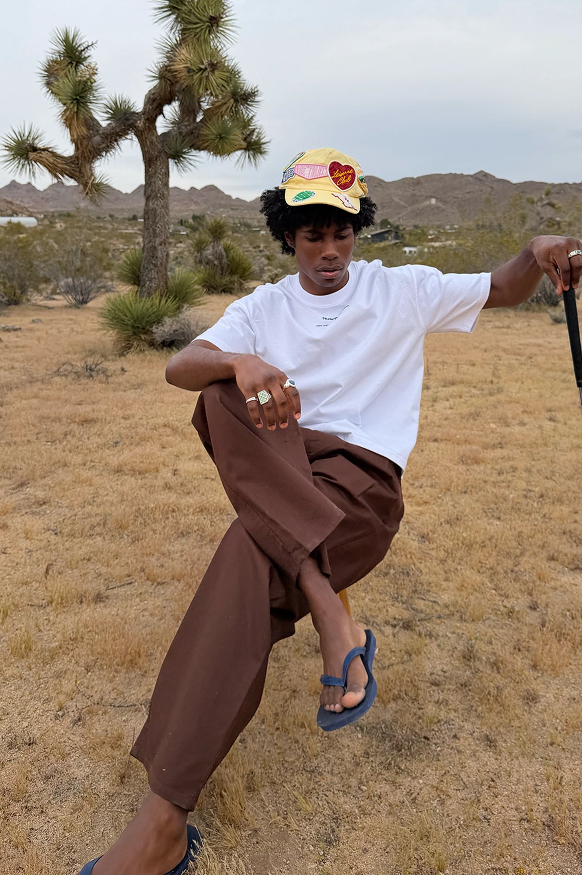 Pleated Chino Pants Brown