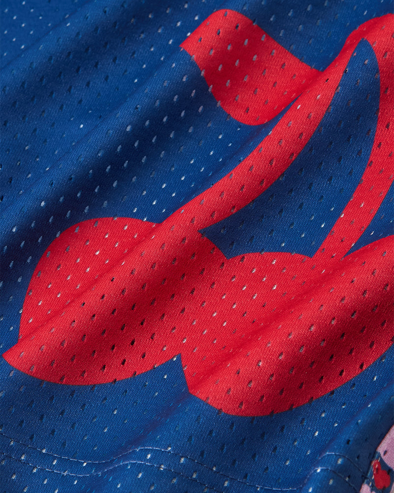 Basic Mesh Short Navy