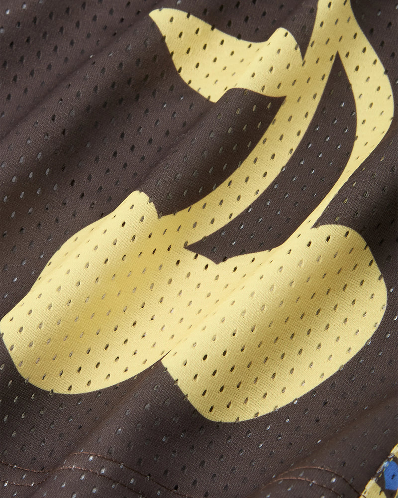 Basic Mesh Short Brown