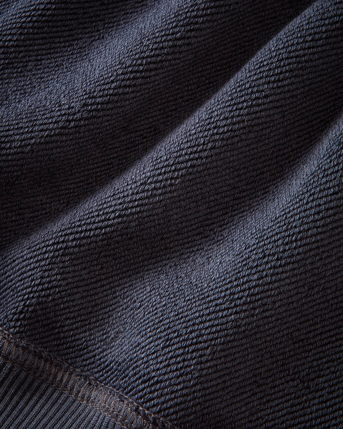 Sudadera Con Cremallera  Beast Animalie