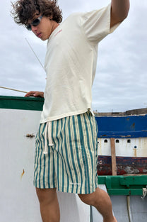 Kiwi Swimshorts