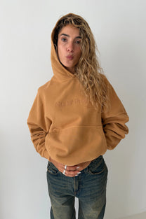 Box Logo Hoodie Beige
