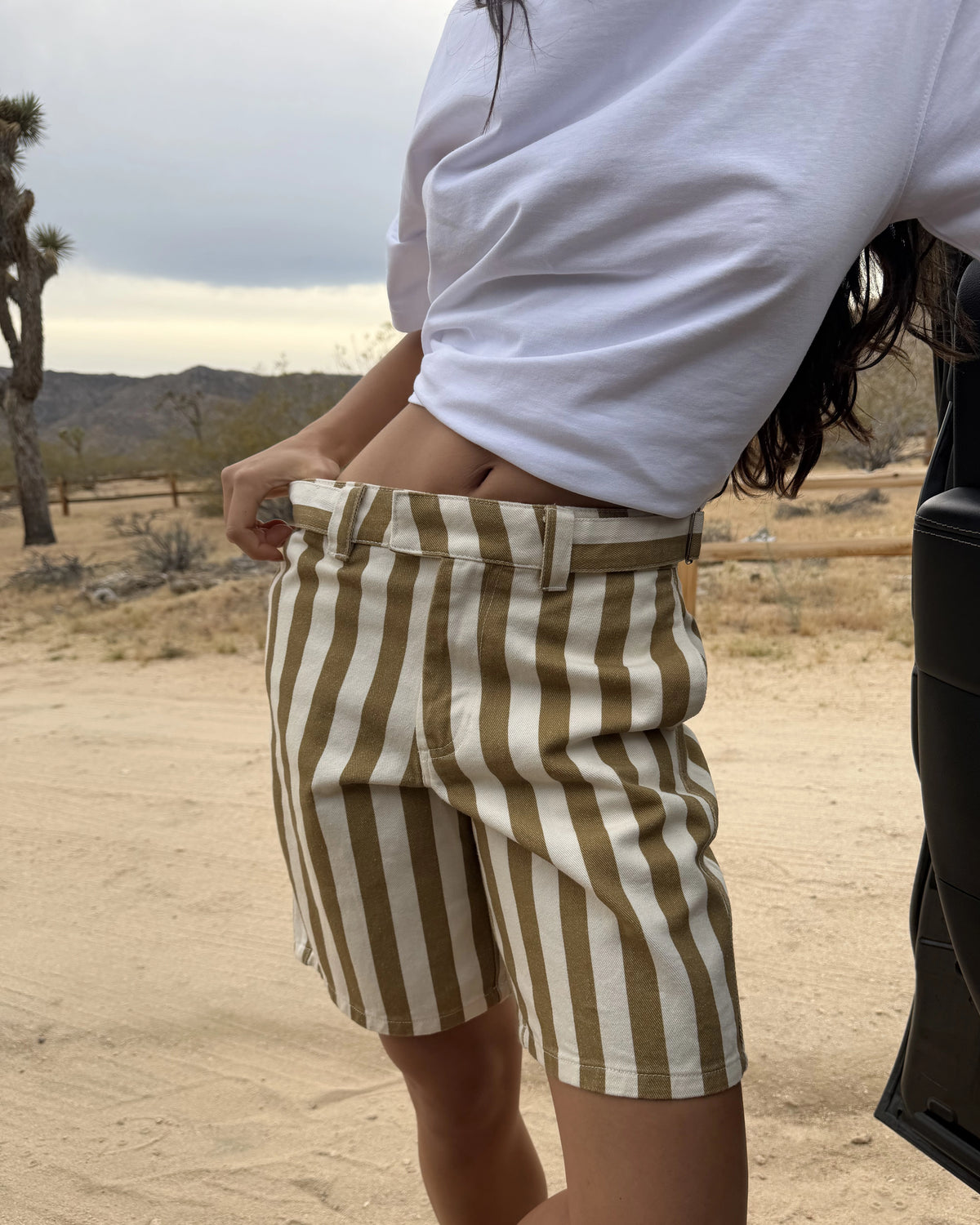 Striped Chino Shorts