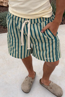 Kiwi Swimshorts