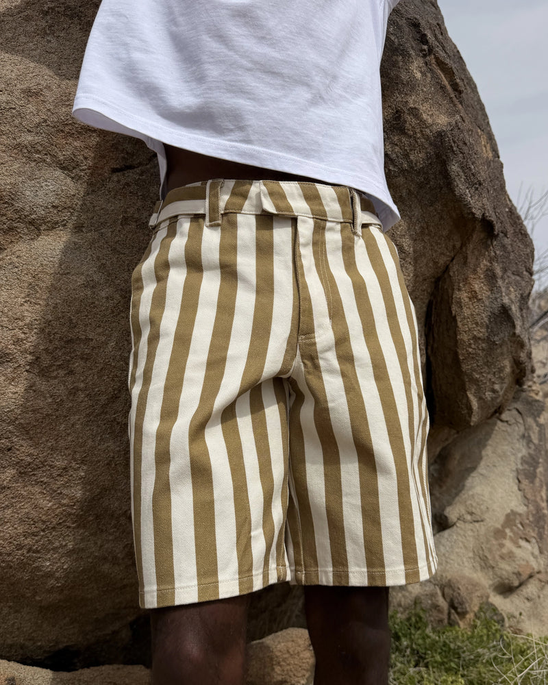 Striped Chino Shorts