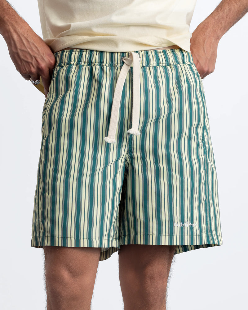 Kiwi Swimshorts