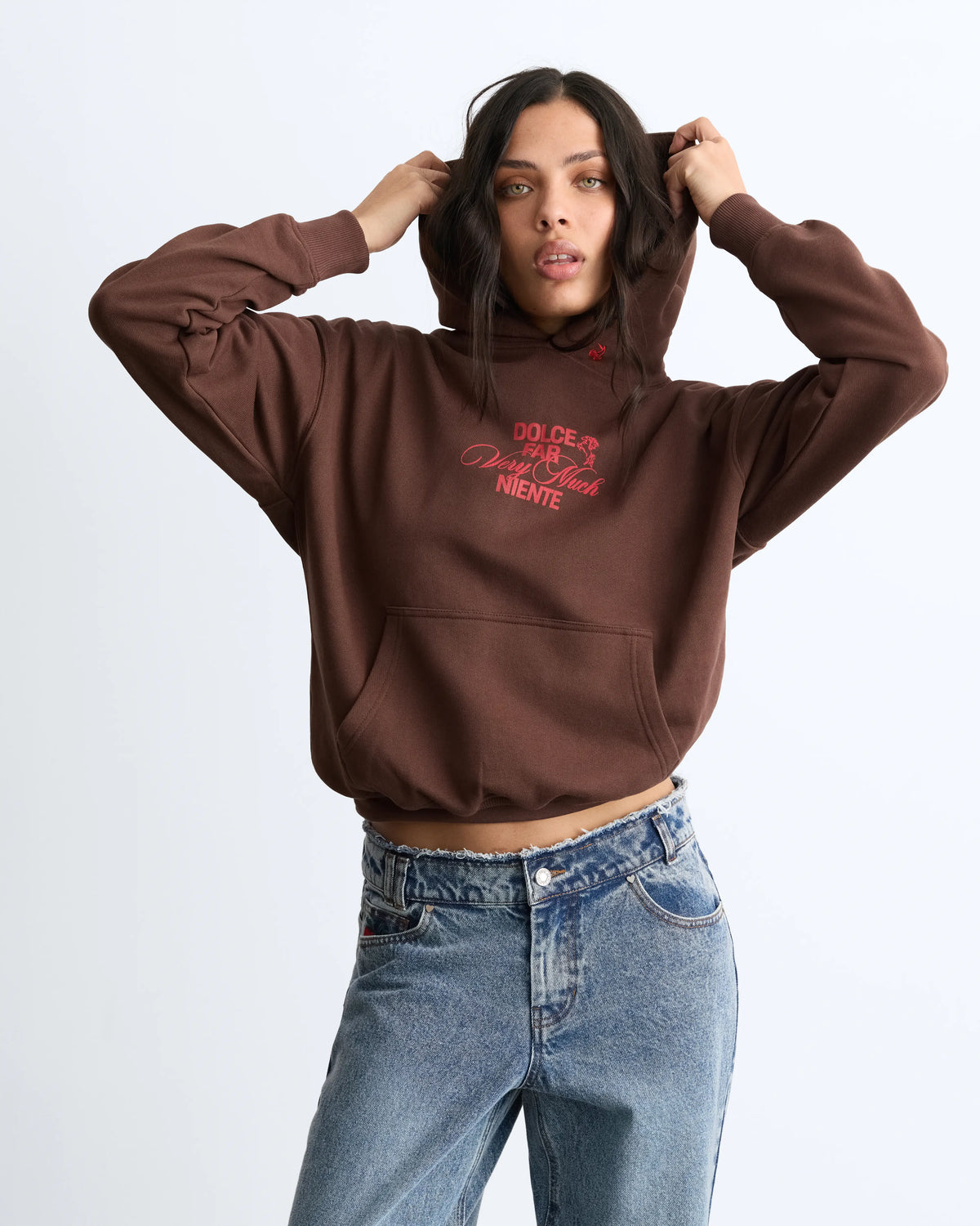 Winning Horse Hoodie Brown